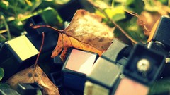 Leaves broken Rubick's Cube