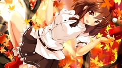 Leaves brown touhou shameimaru aya