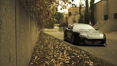 Leaves cars Toyota supra JDM Japanese domestic market