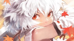 Leaves close-up white hair maple-leaf red eyes faces armpits 