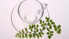 Leaves cups