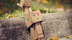 Leaves danboard