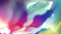 Leaves design abstract backgrounds multicolor