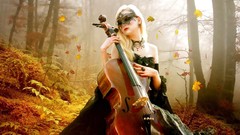 Leaves fog nature Trees autumn Music magic Fairies colors Wood 