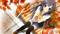 Leaves food bench Ribbons blush school uniforms seifuku thigh 
