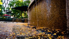 Leaves fountain detroit