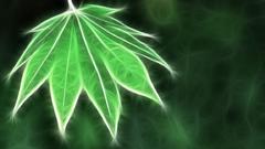 Leaves Fractalius