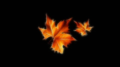 Leaves Fractalius maple leaf
