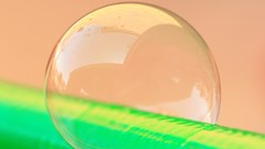 Leaves Green bubbles