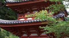 Leaves Japan architecture asian architecture