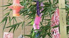 Leaves Japanese lanterns decorations