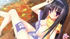 Leaves long hair anime girls black hair purple eyes boobs 