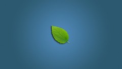 Leaves minimalistic