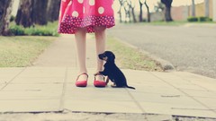 Leaves Moods woman children asphalt Puppies Dogs dress street 