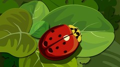 Leaves multicolor vectors ladybirds