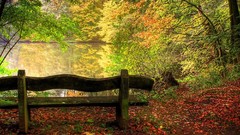 Leaves nature autumn bench back lakes