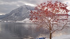 Leaves nature autumn bench lakes