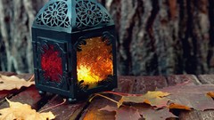 Leaves nature autumn leaf lanterns