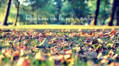 Leaves nature autumn text fallen leaves depth of field