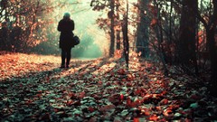 Leaves nature autumn woman lonely forests fallen leaves
