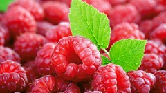 Leaves nature Berries fruits raspberries