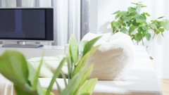 Leaves nature design purple woman abstract interior digital art 