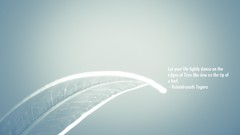 Leaves nature dew text time Quotes