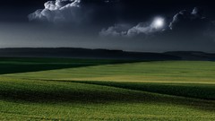 Leaves nature purple abstract digital art