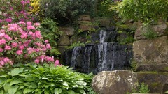 Leaves nature purple woman abstract digital art fantasy art 