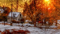 Leaves nature snow sun clouds House colors architecture