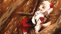 Leaves nature Trees autumn weapons hats socks white hair red 