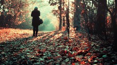 Leaves nature Trees autumn woman sunlight forests fallen leaves