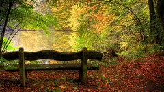 Leaves nature Trees bench lakes forests fallen leaves