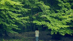 Leaves nature Trees grass summer Green woman jeans back shirts 