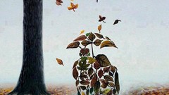 Leaves nature Trees love