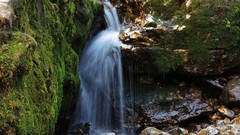 Leaves nature water Green moss waterfalls rocks streams 