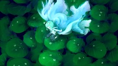 Leaves nature water Green Plants antenna sitting water drops 