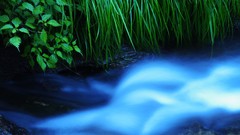 Leaves nature water streams blurred