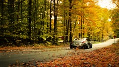 Leaves Nissan nissan 350z fallen leaves