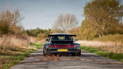 Leaves one number cars