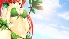 Leaves palm trees soft