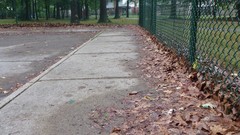 Leaves pavement sidewalks Chain