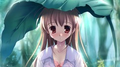 Leaves rain Anime wet red eyes blush anime girls bra