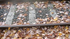 Leaves rocks railroad tracks