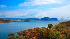 Leaves Sea Mountains coast vegetation bushes