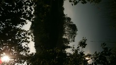 Leaves Sea nature Green reflections