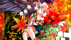 Leaves shameimaru aya maple