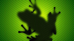 Leaves silhouettes Frogs amphibians