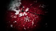 Leaves snow winter autumn Structure