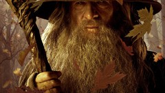 Leaves staff posters Gandalf Wizards The Hobbit